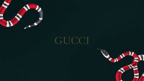 gucci background wallpaper